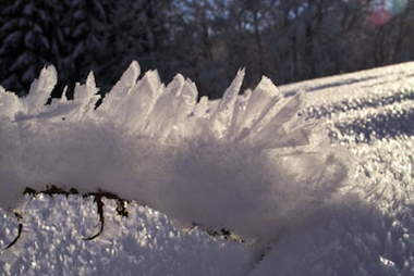 Eisfeder